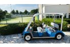 Yamaha G31E, 5 sjedala, potpuno renovirana golf kola, plava