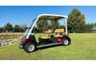 Najam standardnih golf vozila za 5 osoba (mjesečni najam), bordo