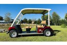 Najam standardnih golf vozila za 5 osoba (mjesečni najam), bordo