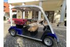 Custom YAMAHA G30E, konfigurator golf vozila s 5 sjedala u izvrsnom stanju, tamno plava